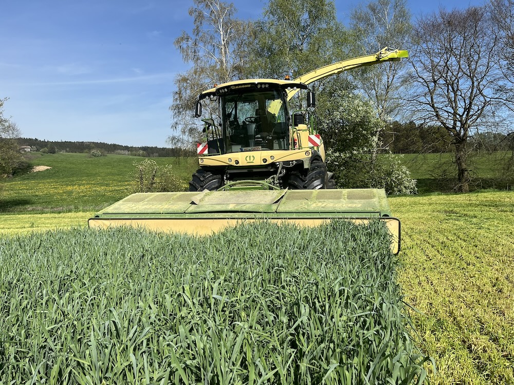 Lohnunternehmen - Feldhäcksler erntet grüne Pflanze