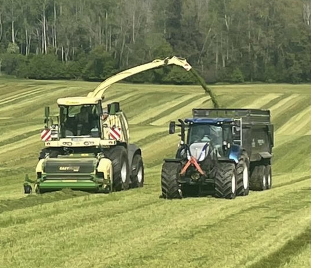 Lohnunternehmen - Feldhäcksler und Traktor ernten ein Feld ab